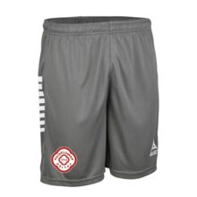 BK Hellas GK Shorts - grå