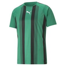Puma Teamliga Striped Spilletrøje - Grøn/sort