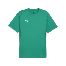 Puma teamGOAL Trænings T-shirt - Grøn