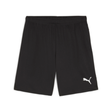 Puma teamGOAL Shorts - Sort