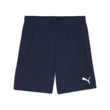 Puma teamGOAL Shorts - Navy