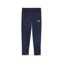 Puma teamGOAL Træningsbukser Jr - Navy