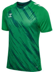 Hummel Match Triumph Spilletrøje - Grøn/hvid
