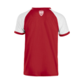 Danmark Raglan T-shirt - Rød/hvid