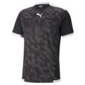 Puma teamLIGA Dommer T-shirt - Sort