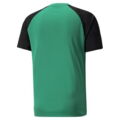 Puma Teampacer Trænings T-shirt - Grøn/sort