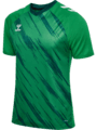 Hummel Match Triumph Spilletrøje - Grøn/hvid