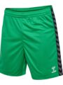 Hummel Authentic PL Spilleshorts - Grøn/hvid