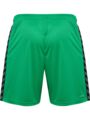 Hummel Authentic PL Spilleshorts - Grøn/hvid