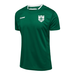 VB Trænings T-shirt Herre